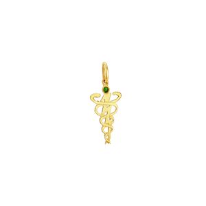 Pingente em Ouro 18k de Formatura Fisioterapia - AU3142