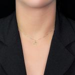 PI2107-