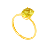 ANF7990-2480