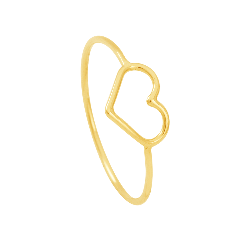ANH0010
