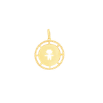 PI2352-2