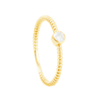 ANH248