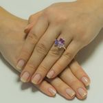 07.10.0380.999.14-modelo