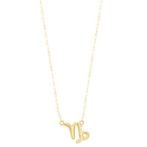 Gargantilha em Ouro 18k Coleção Zodíaco - Capricórnio - AU10138