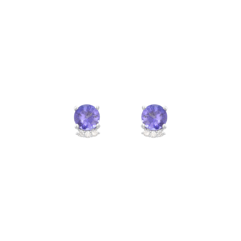 0139313---BFNV084