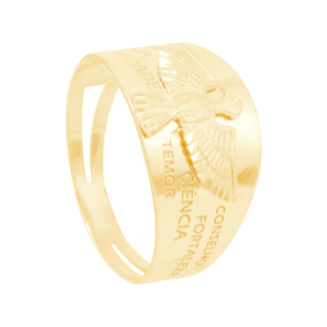 Anel em Ouro 18K Divino Espírito Santo - AU12695
