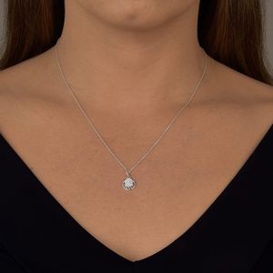 Colar Circulo com Zircônias e Detalhe em Prata 925 - PL22004