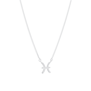 Colar Signo Peixes em Prata 925 - PL23492