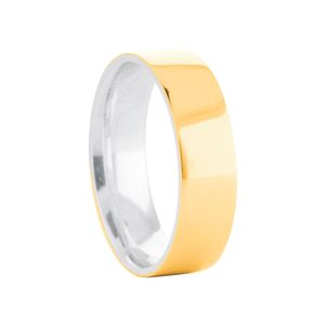 Aliança em Prata 925 e Ouro 18K Masculina 5,7MM - PL19874