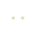 0156498---B391.png