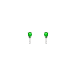 0155532---300463E--1-