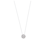 0156878 - DRIGARHT4531