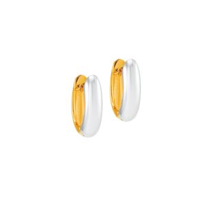 Argola Redonda Bicolor em Ouro 18K - AU14586