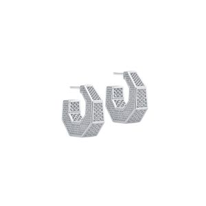 Brinco Argola 3D em Prata 925 - PL24854