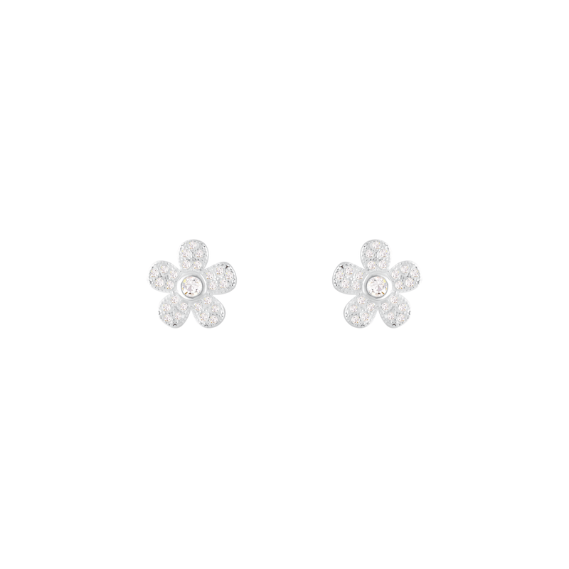 0155441---3-00162C--1-
