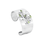0119951 - BRAC-12-