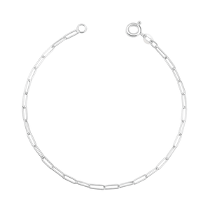 Pulseira Masculina Elos Cartier em Prata 925 - PL27002