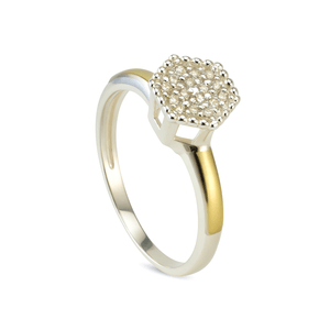 Anel Pavê Sextavado em Ouro 10K e Prata 925 - PL27587